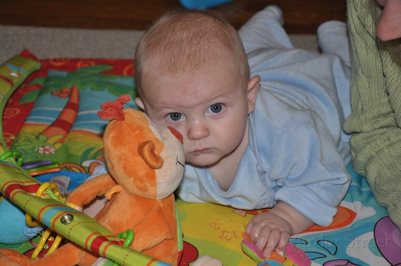 William's Twenty-First Week 07.jpg